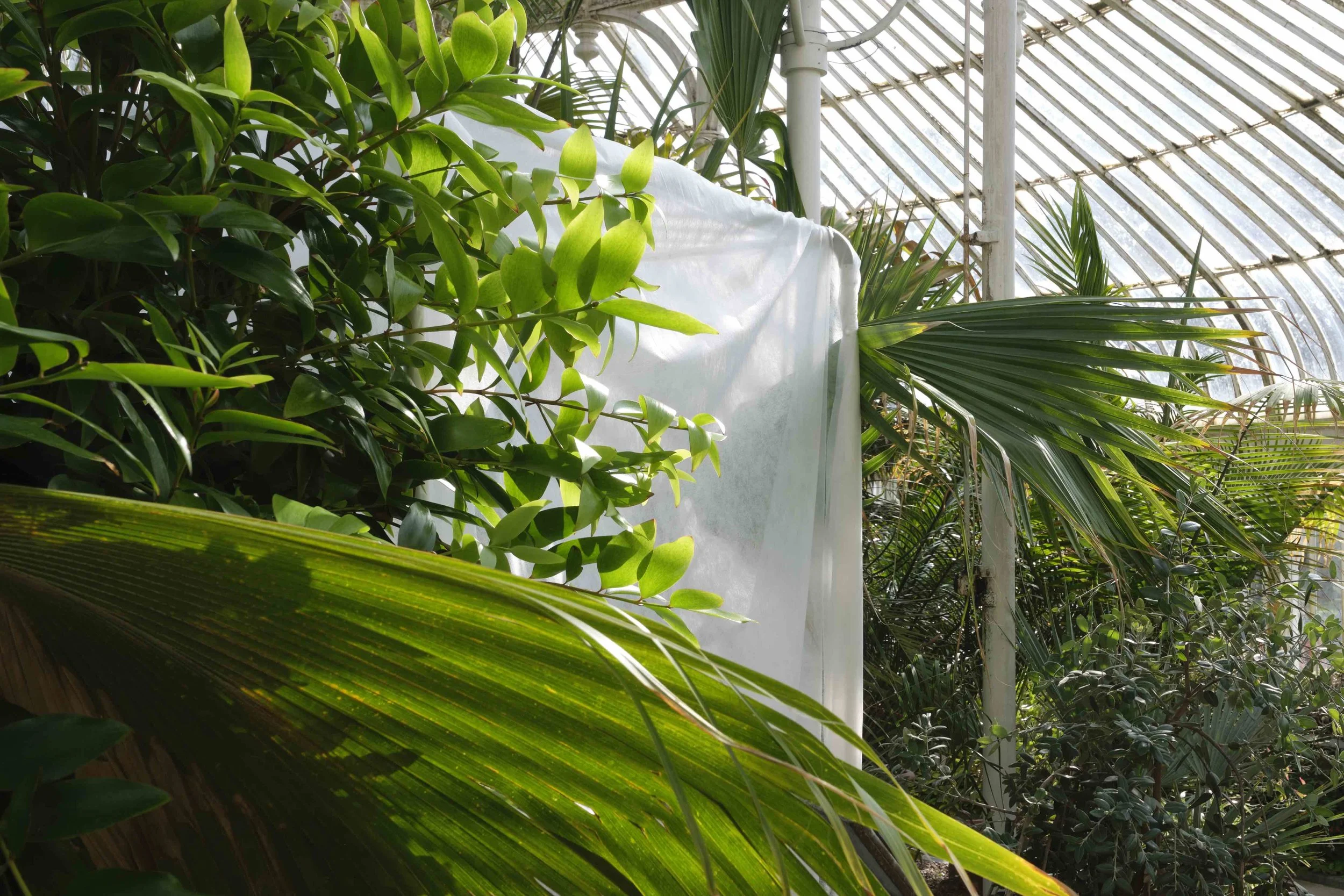 20190921 Umbra 037_low.jpg