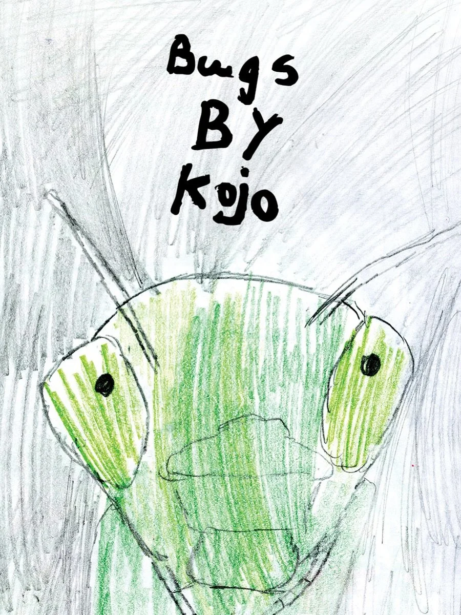 Come to the King Farmers Market on Sunday and meet the artist/author of Bugs by Kojo. 🐛 He&rsquo;ll do readings at 11:30am and 12:30pm. While you&rsquo;re at our booth you can make your own book cover or zine with Kojo! Stop by to pick up your own c