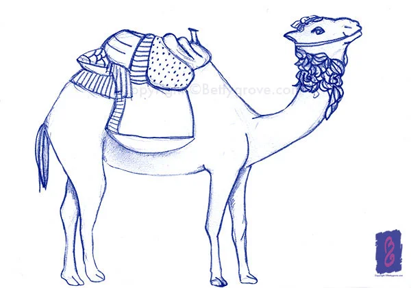 camelbleu.jpg