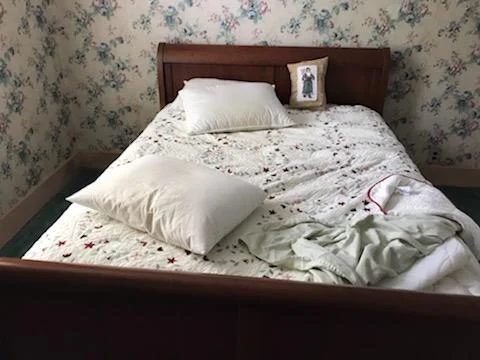IMG956147.jpg