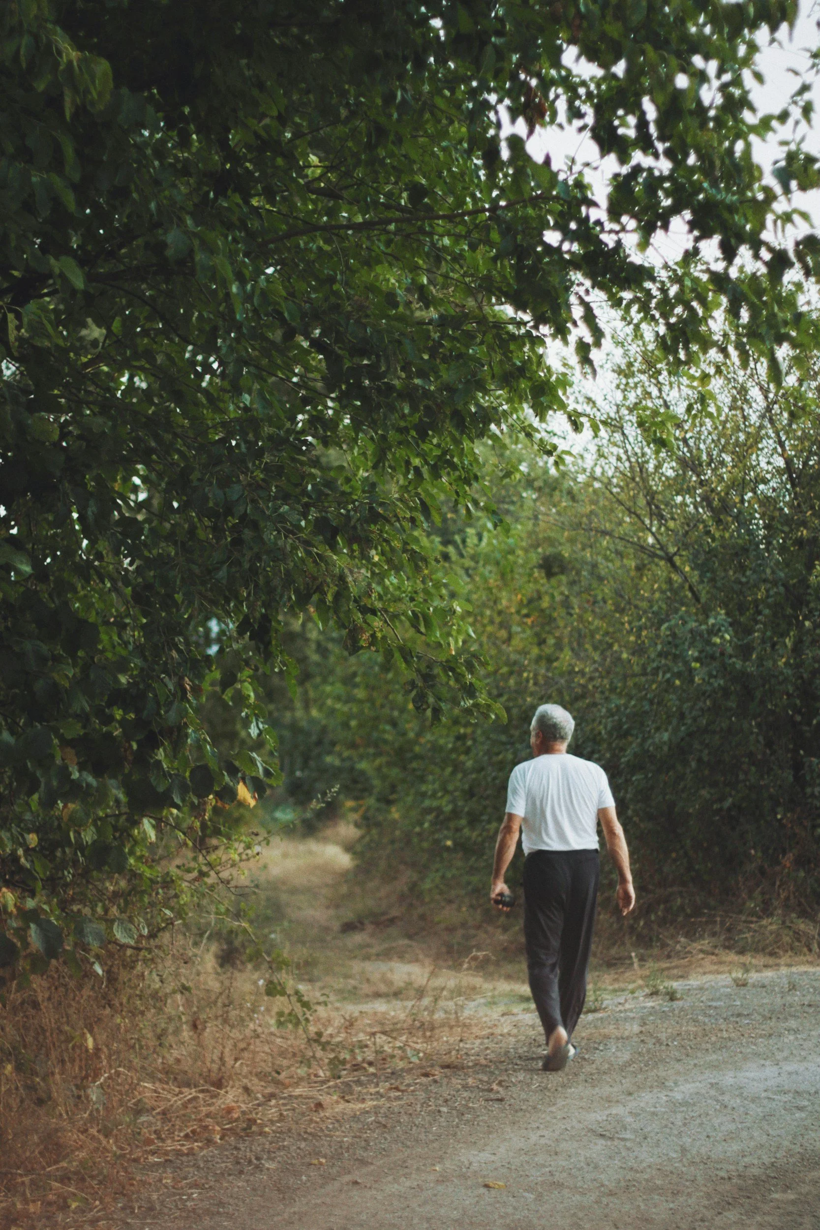 An elderly man with gray hair walking along a dirt path surrounded by dense green foliage.