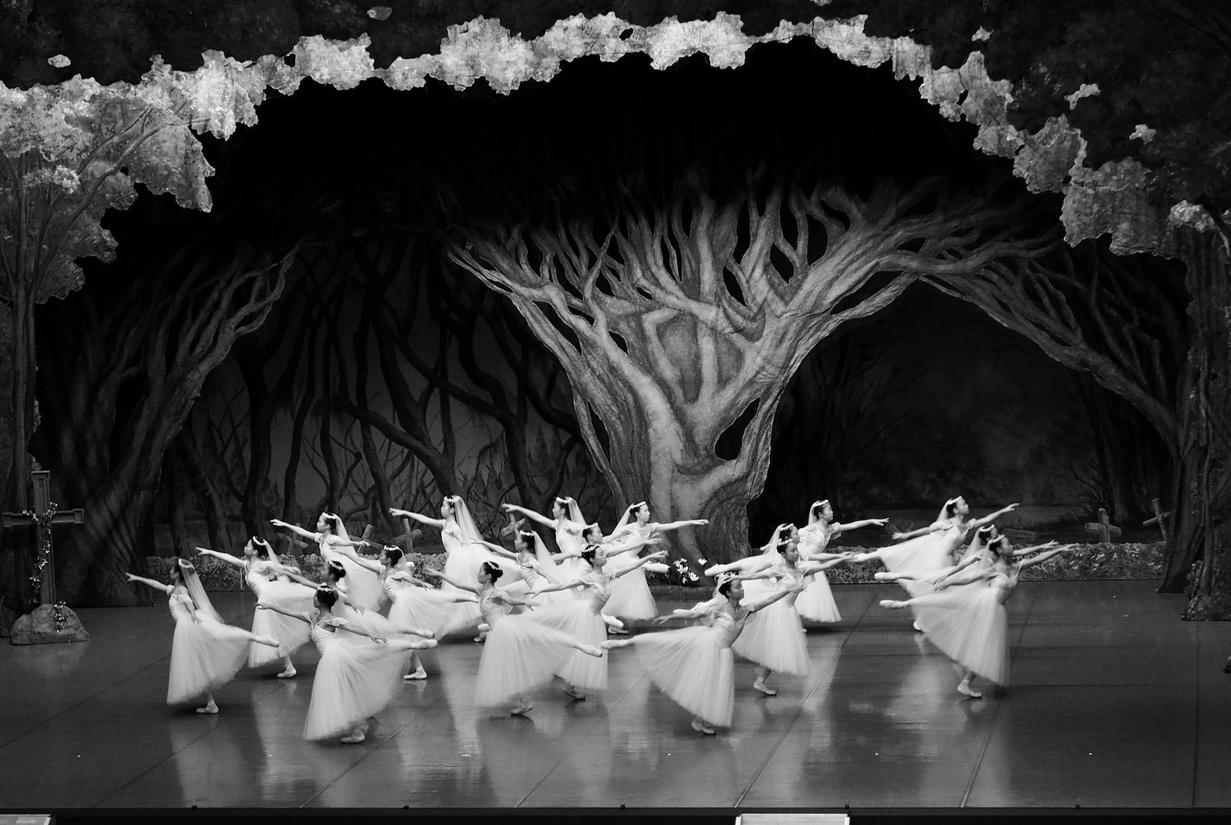 The Royal Ballet and Opera - Giselle