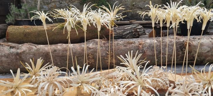 Workshop - Introduction to Green Woodwork