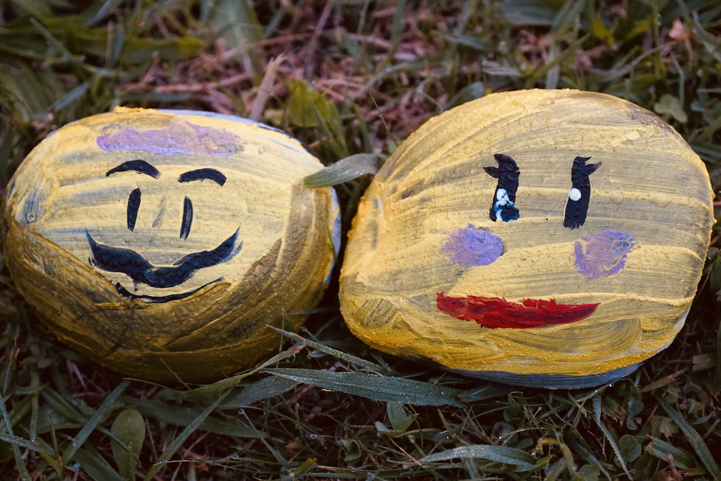 Workshop: Spooky pebble painting (ages 7+)