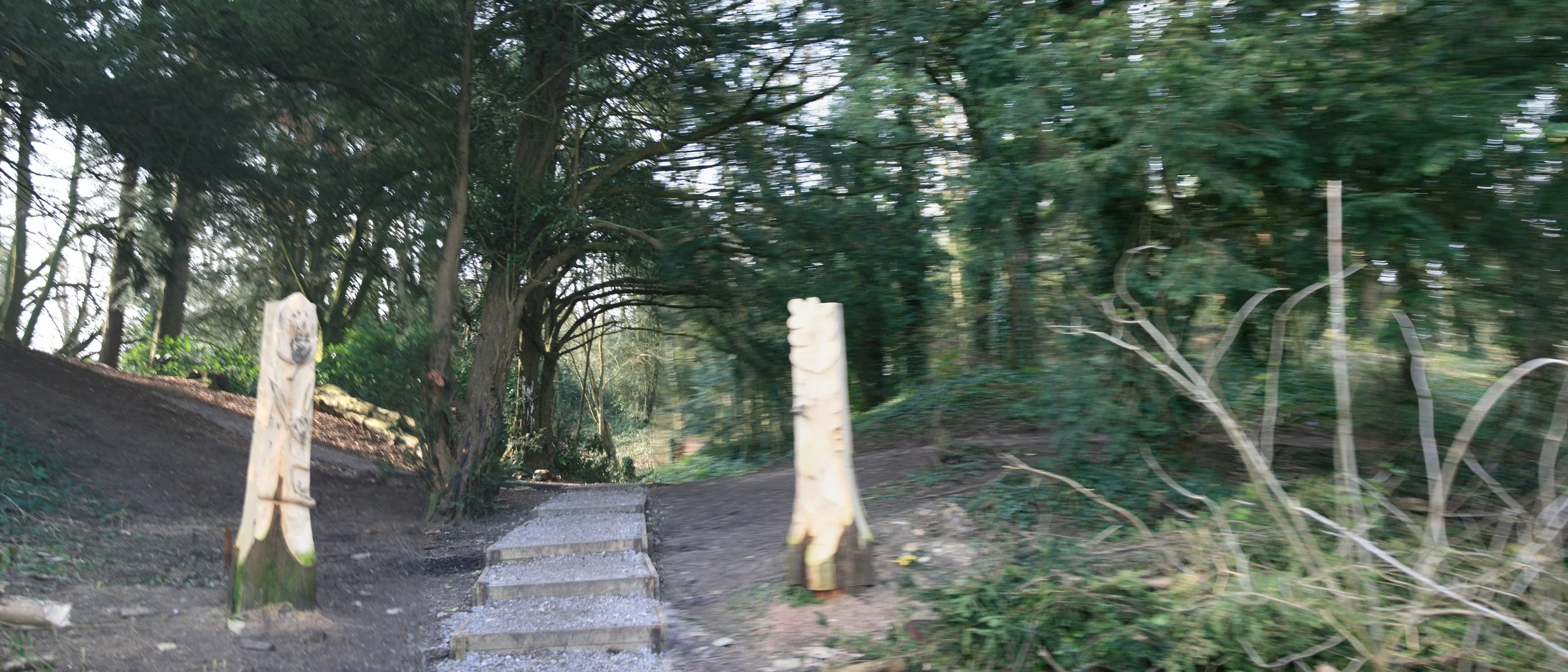Wooden steps leading up a dirt trail through a wooded area with trees and bushes on both sides.