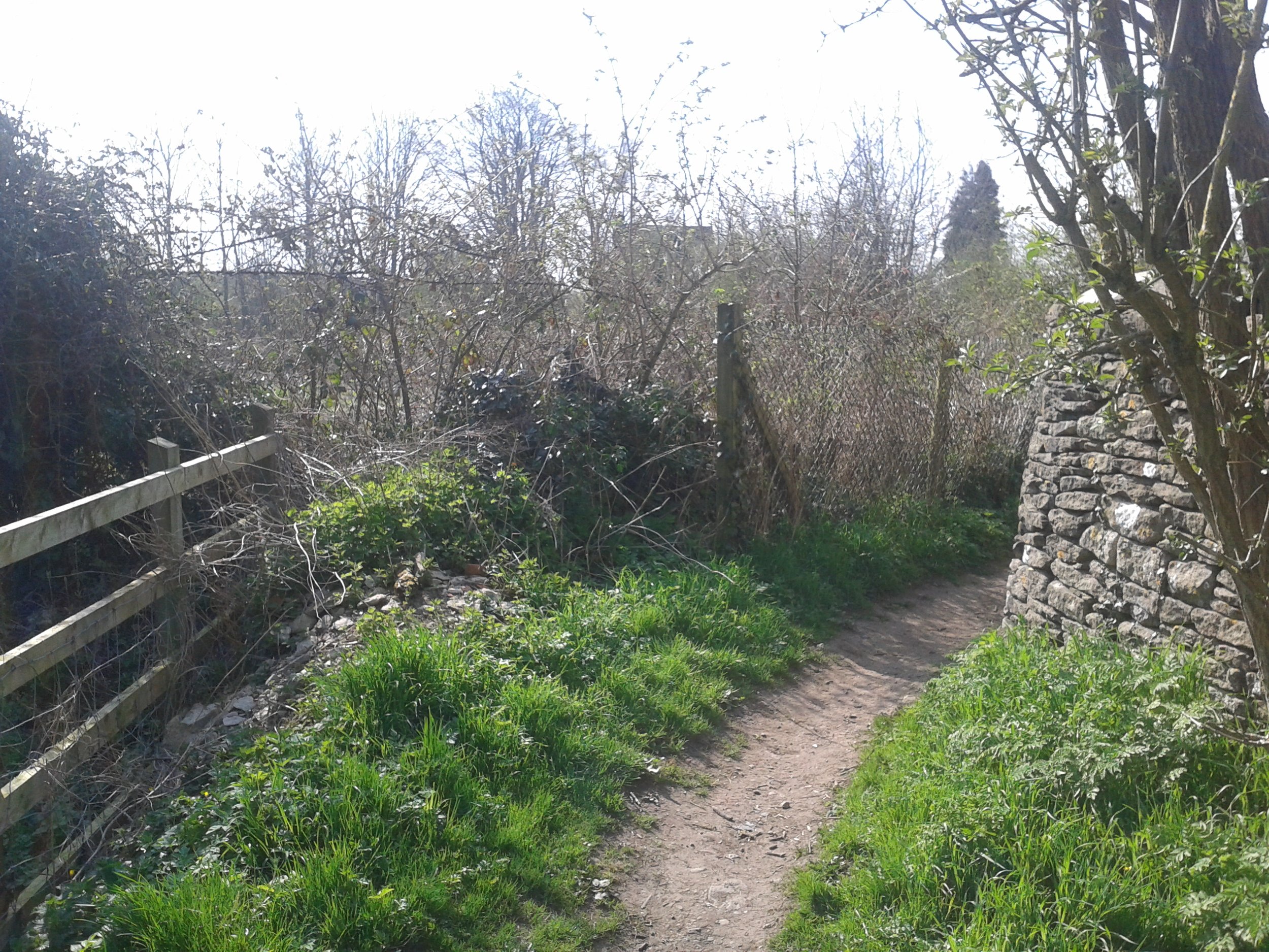 A narrow dirt footpath running alongside a stone wall and a tree with bare branches. There is a wooden fence along the left side and a chain-link fence with overgrown bushes in the background. Green grass and foliage border the path.