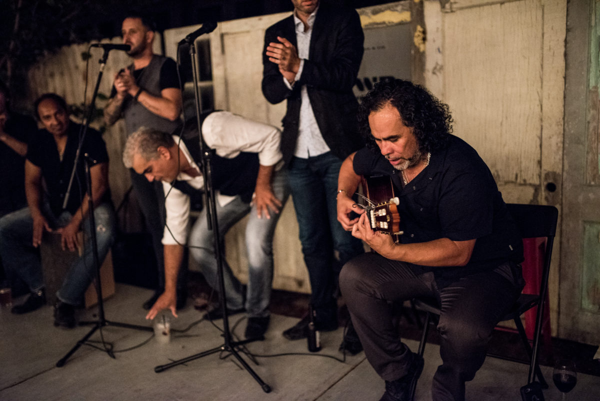 The-Wild-Detectives-Musicos.jpg