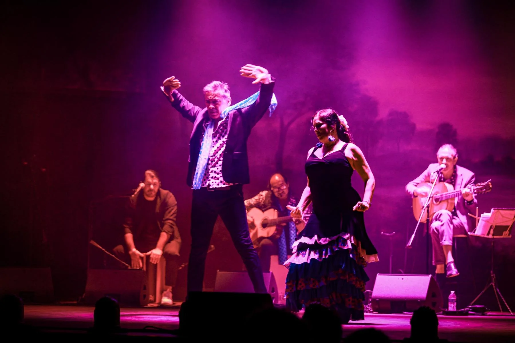 Ida y Vuelta Flamenco @ Mckinney Performing Arts Center 