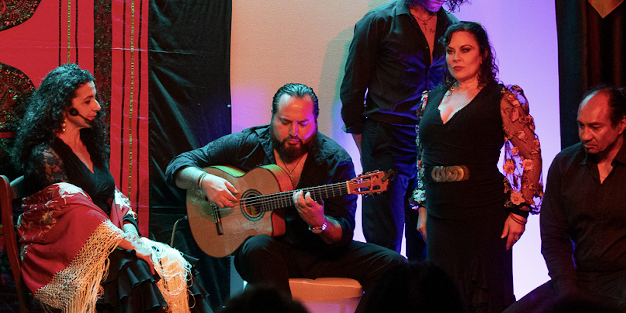 Ida y Vuelta - Flamenco Fever