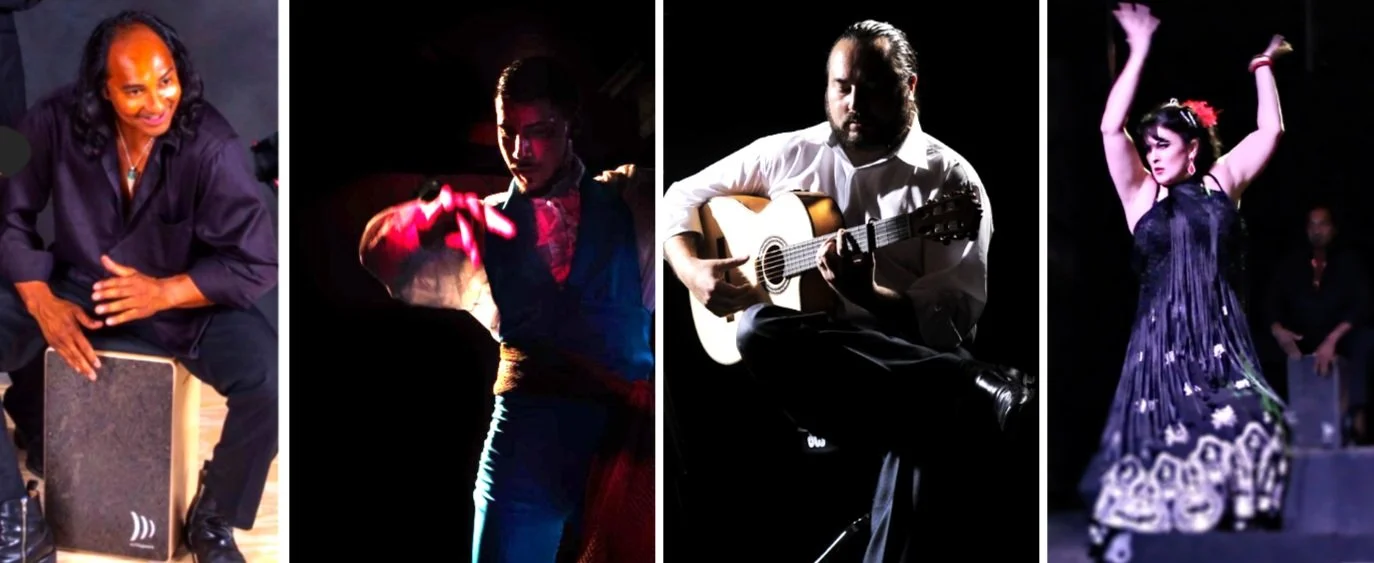Ida y Vuelta - Flamenco Fever