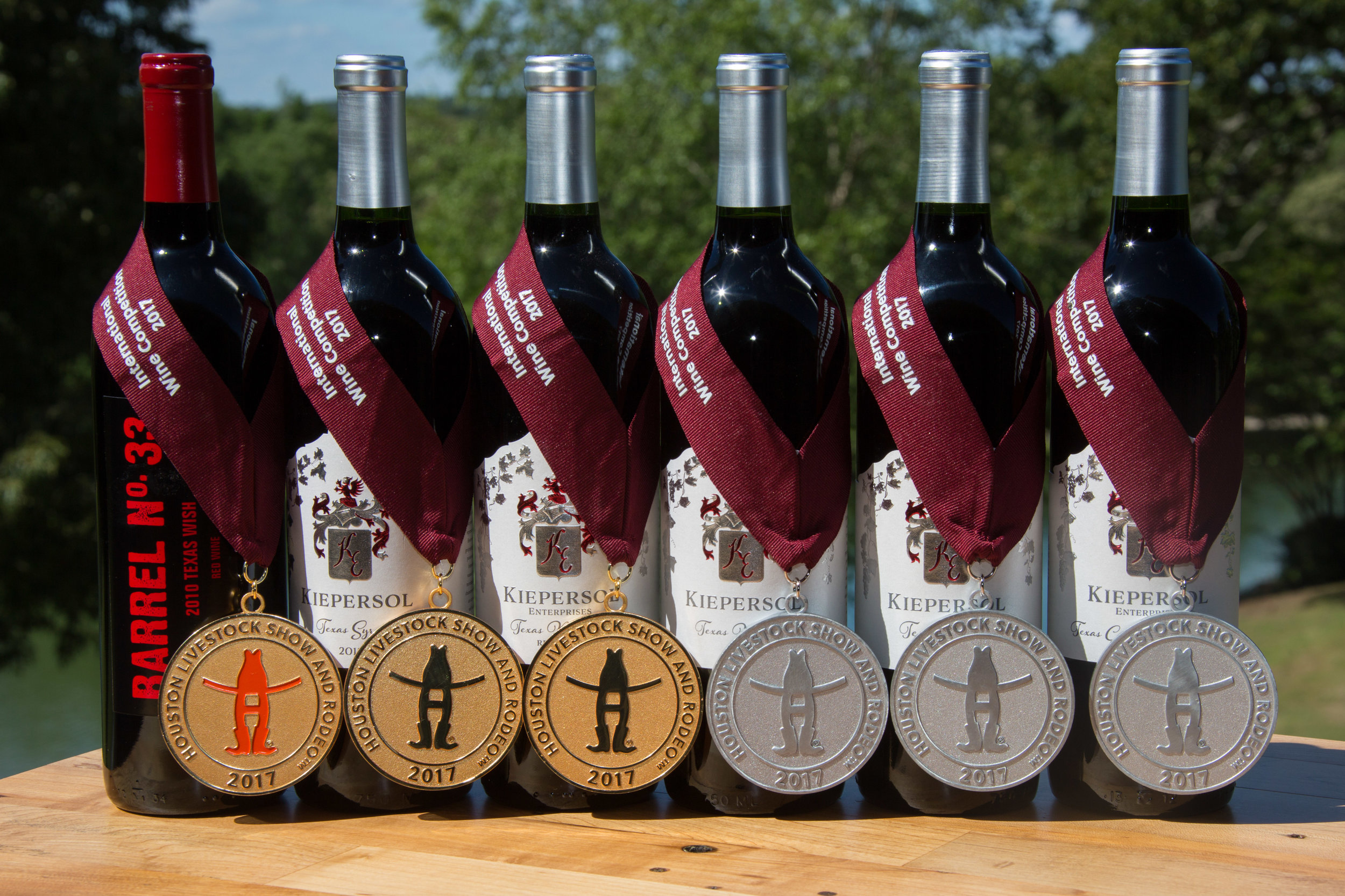 houston_hlsr_medals_lineup_2017.jpg