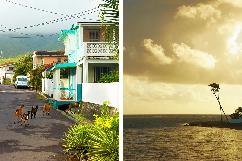  SCENES AROUND THE GOLDEN LEMON 