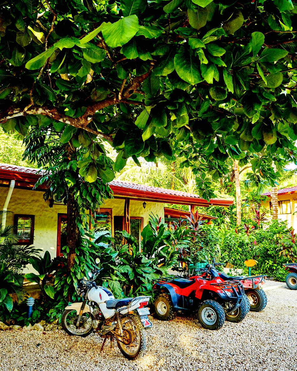  FOUR WHEELER ATV RENTALS AT MOST HOTELS 
