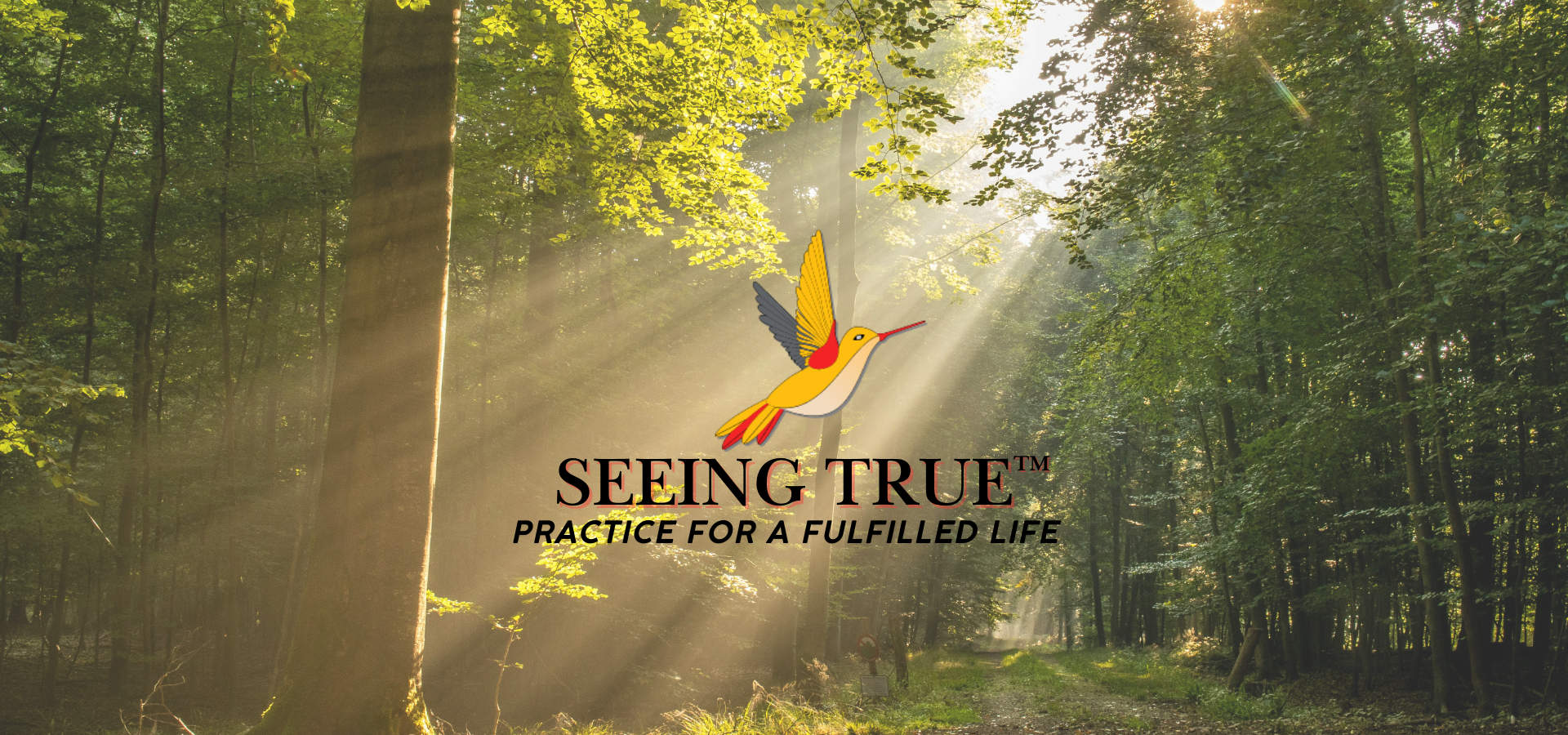 Seeing True Hero Image (2026).png