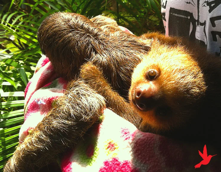 Looking More Deeply at Grace