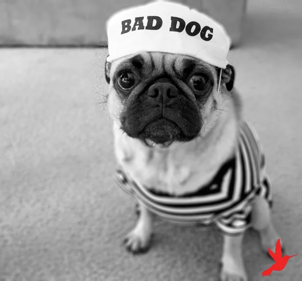 What Happens If You Let Go of a Need for Approval?