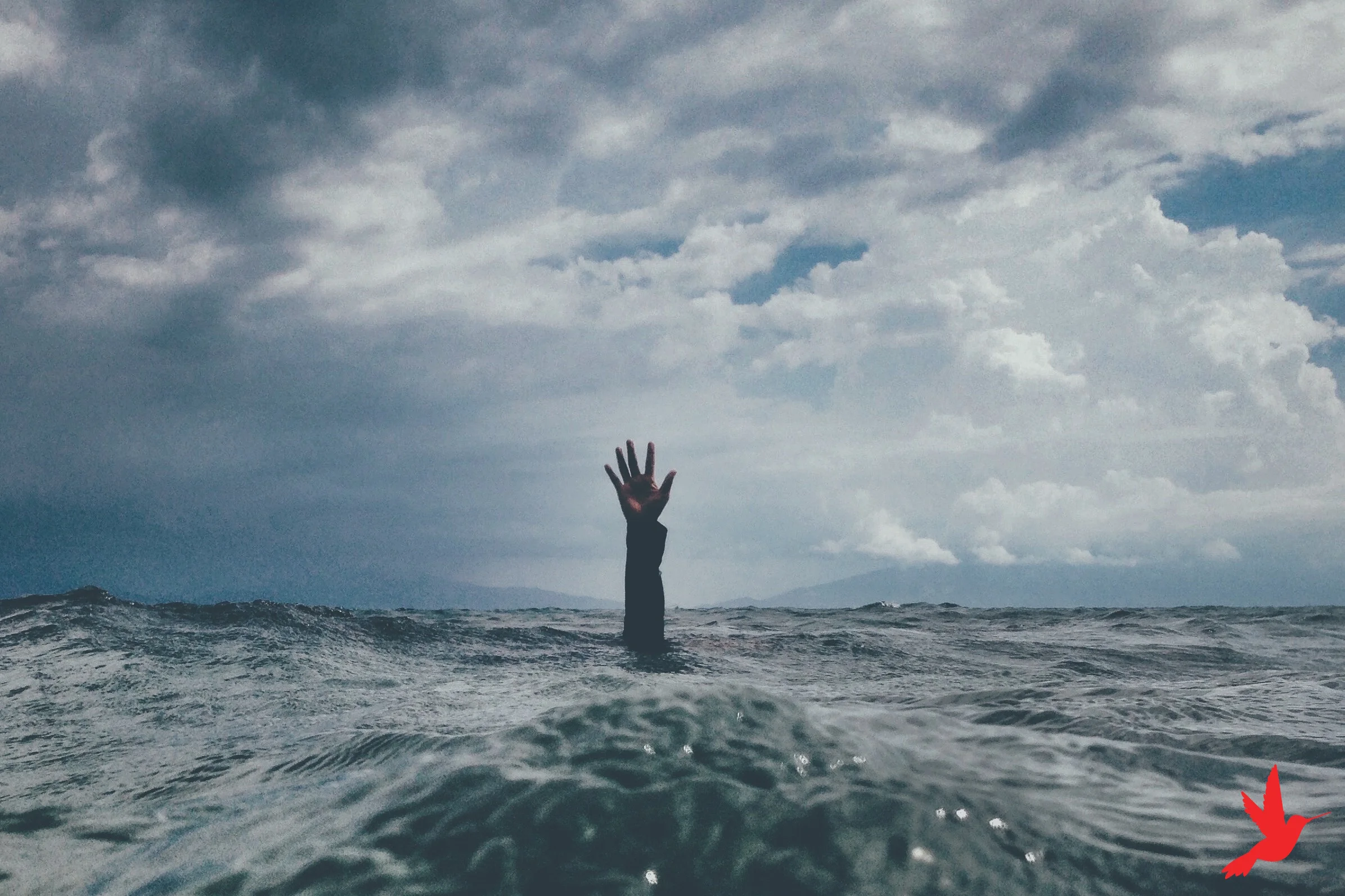attachment and suffering