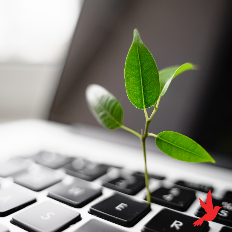 A Strategy for Living and Thriving