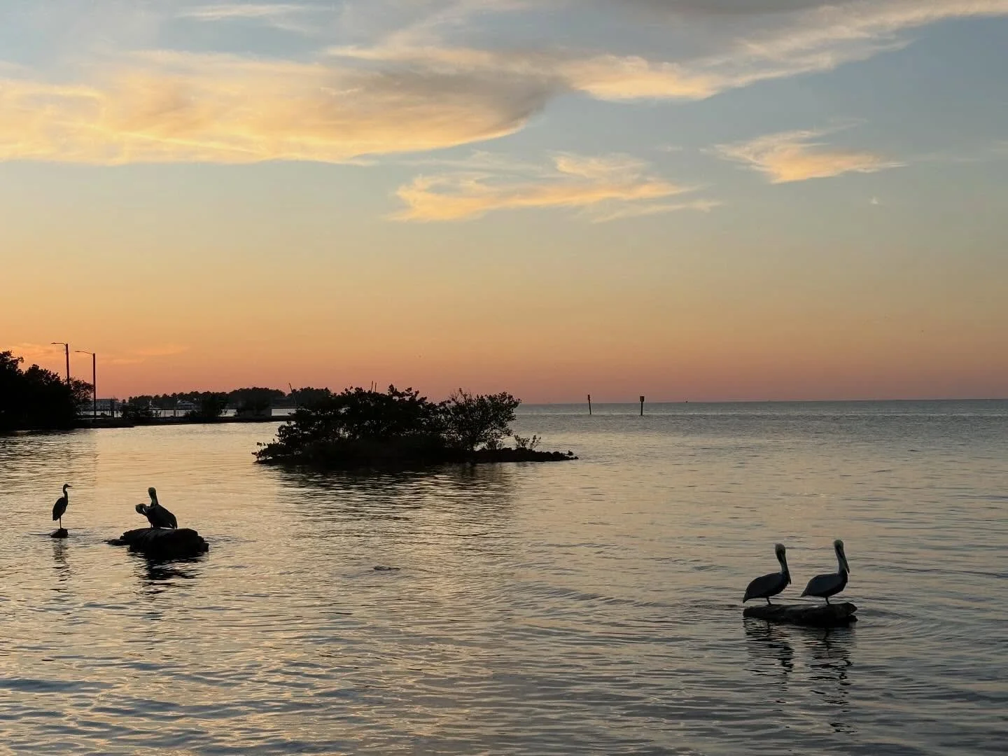 More @thefloridakeys #getaway #beauty #wanderlust #ronaldchapman #sunset