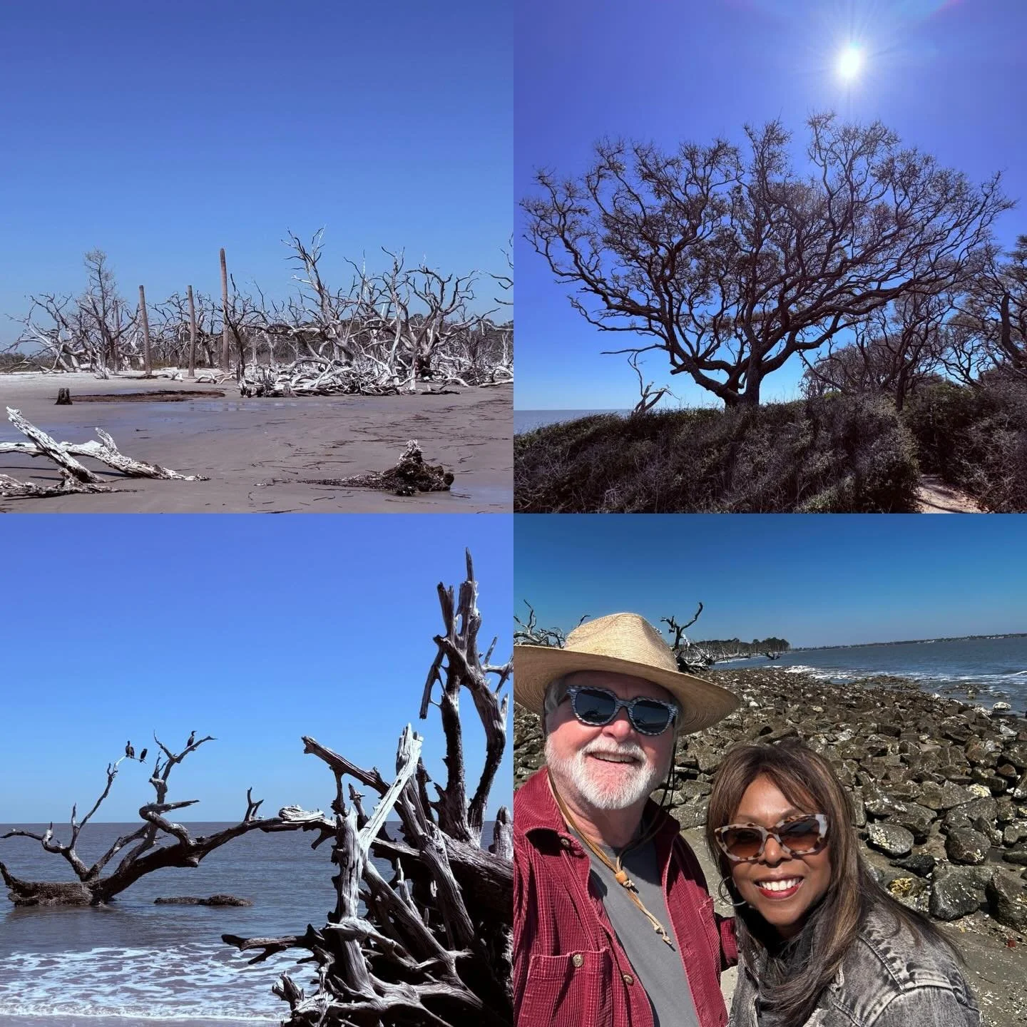 Wandered to a most remarkable place, Driftwood Beach  at Jekyll Island, Georgia! Surreal, beautiful and deeply affecting. #seeingtrue #ronaldchapman #roadtrip #wanderlust #spirituality