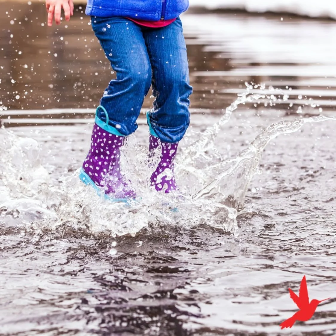 Agitation Meditation? Why would we want to seek out that which disturbs us?

It's a lot like allowing silty water to be still so things can settle and the water to become clear.  When we no longer seek to avoid our discomfort, we can better cope with