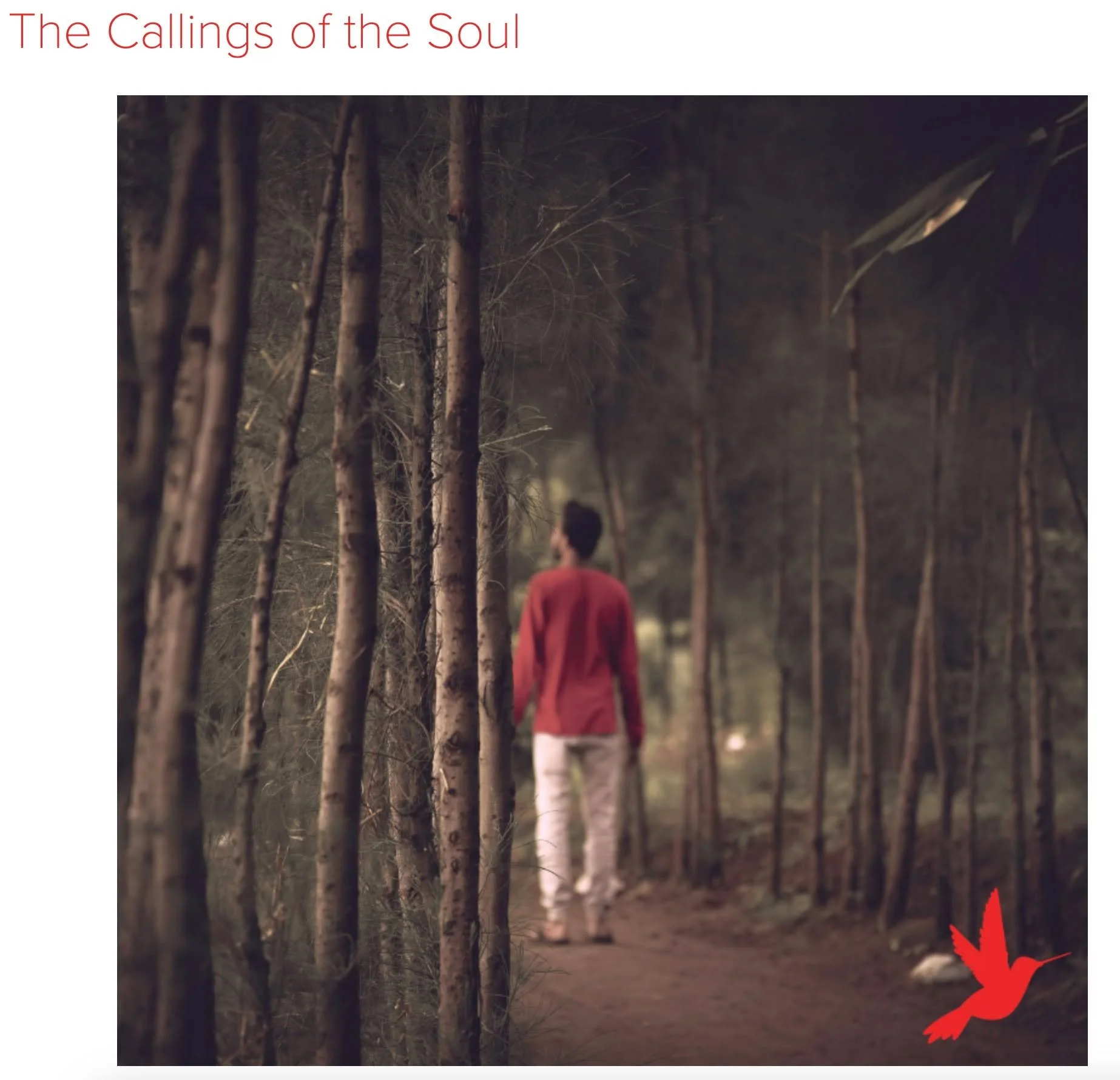 Spirituality is like echolocation. We cannot know the source of our calling, or even the nature or character of the calling. Yet we can follow the feeling of it. The question for each of us is whether to trust and follow the calling.

Read on for the