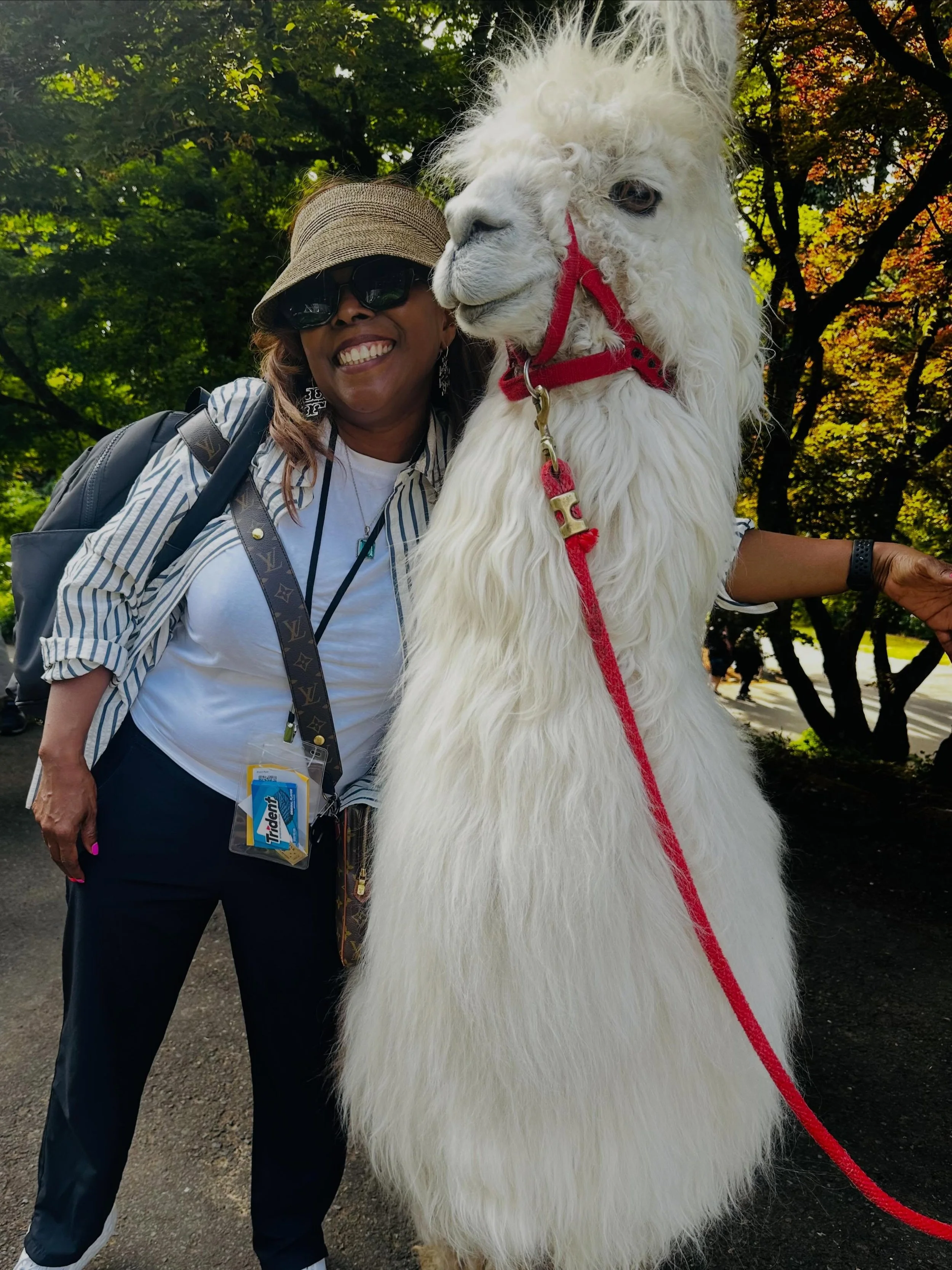 Felica found herself in the company Llama! #llama #ronaldchapman #seeingtrue #adventure #wonderfulworld