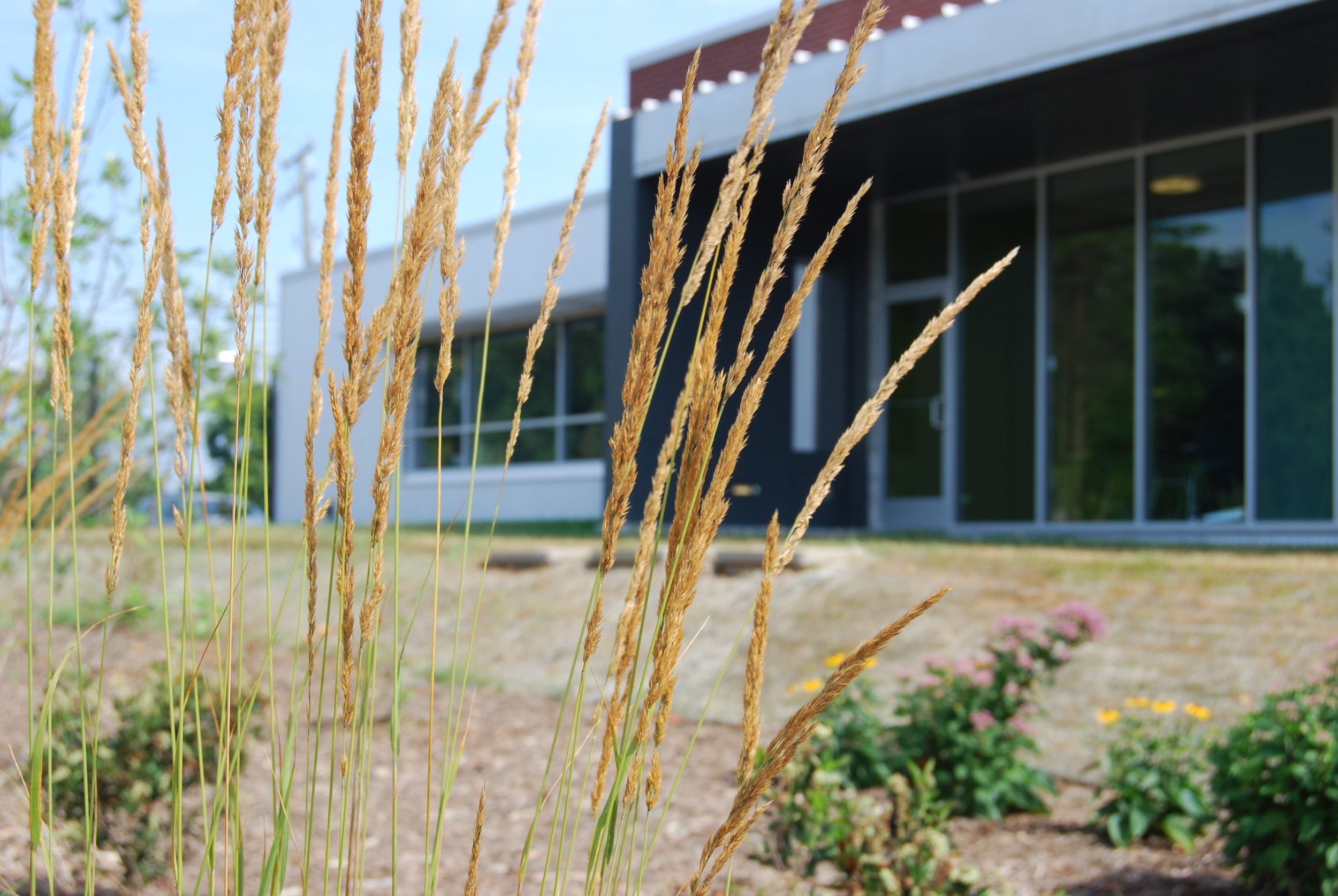 Employees enjoy ready access to natural spaces throughout the complex.