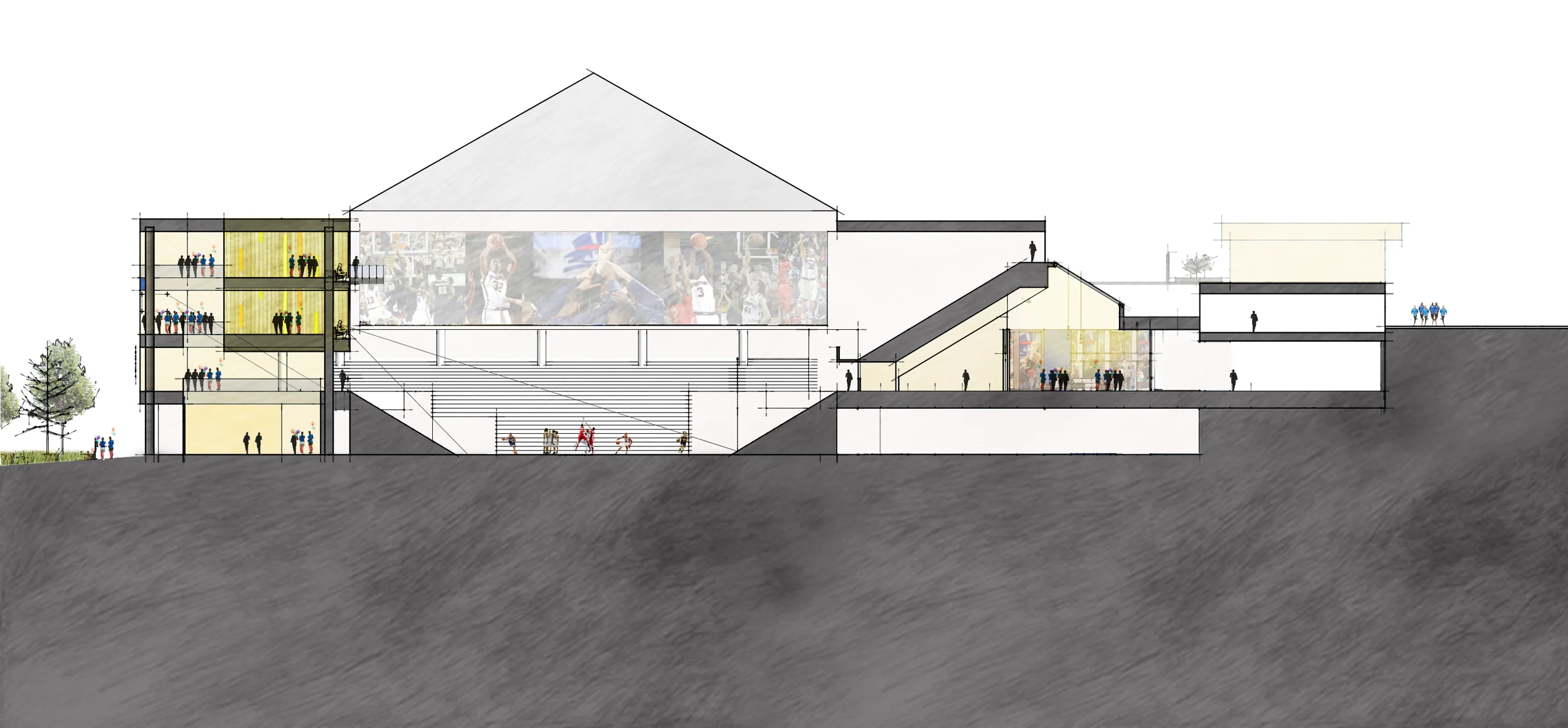 AJP_Model_section long_update.jpg