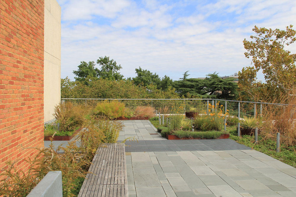 The canopies of mature trees around the building provide a sense of enclosure for the fifth-floor terrace.