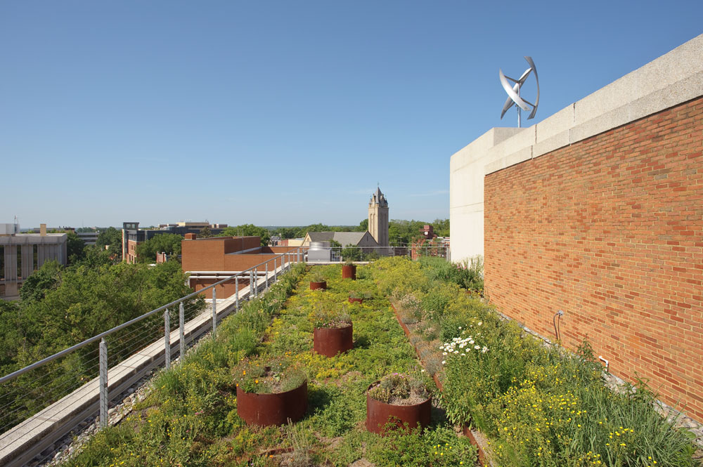 The roof demonstrates three types of green roof plantings--sedum,  meadowscape, and Virginia native. The building's vertical-axis wind turbine generates renewable energy on the roof above.