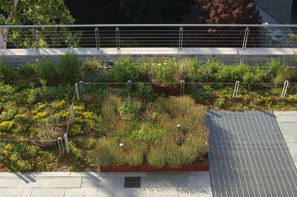 Cable rails and recycled steel bar grating complement the rich diversity of the rooftop landscape.