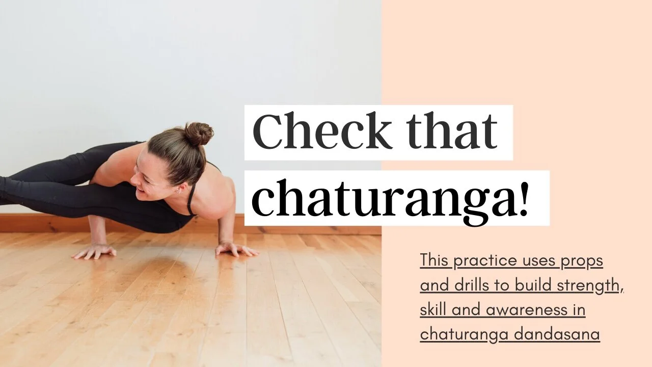 Check That Chaturanga! || 60 min vinyasa flow (Copy)