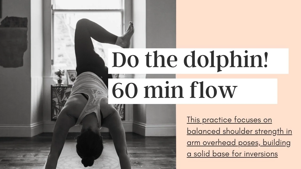 Do The Dolphin | 60 min flow (Copy)