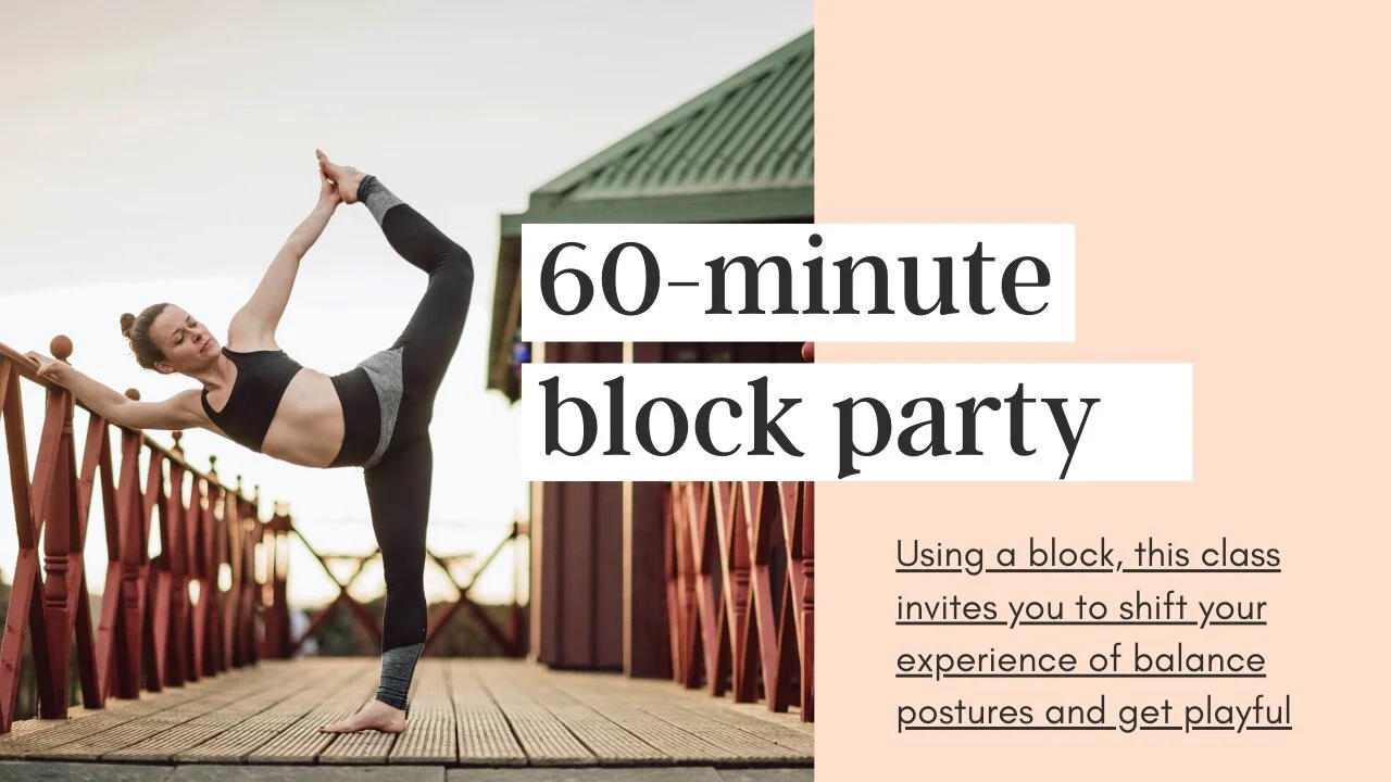 Block Party || 60 min vinyasa flow (Copy)