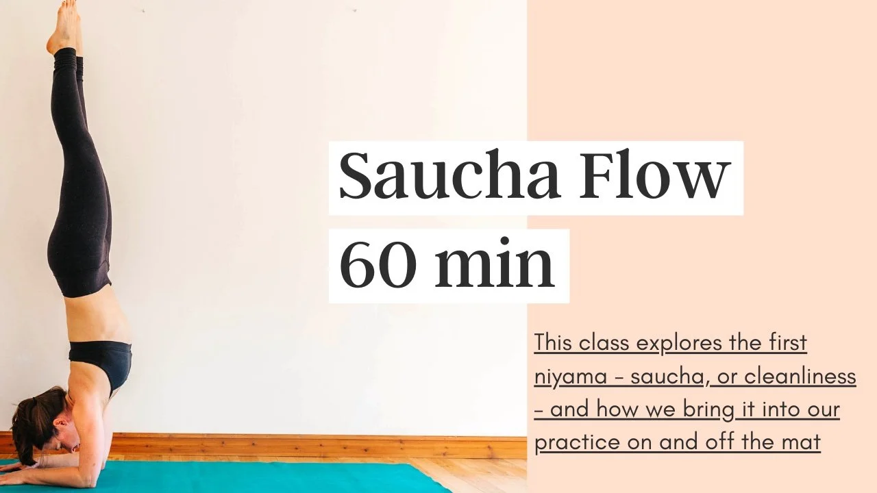 Saucha Flow || 60 minute vinyasa (Copy)