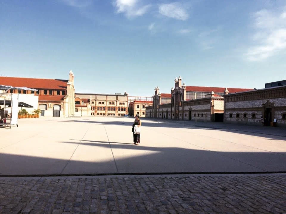 One of my travel buddies at the Matadero in Madrid. 2016. Photo by me.