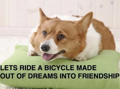 Excellent meme source: BuzzFeed