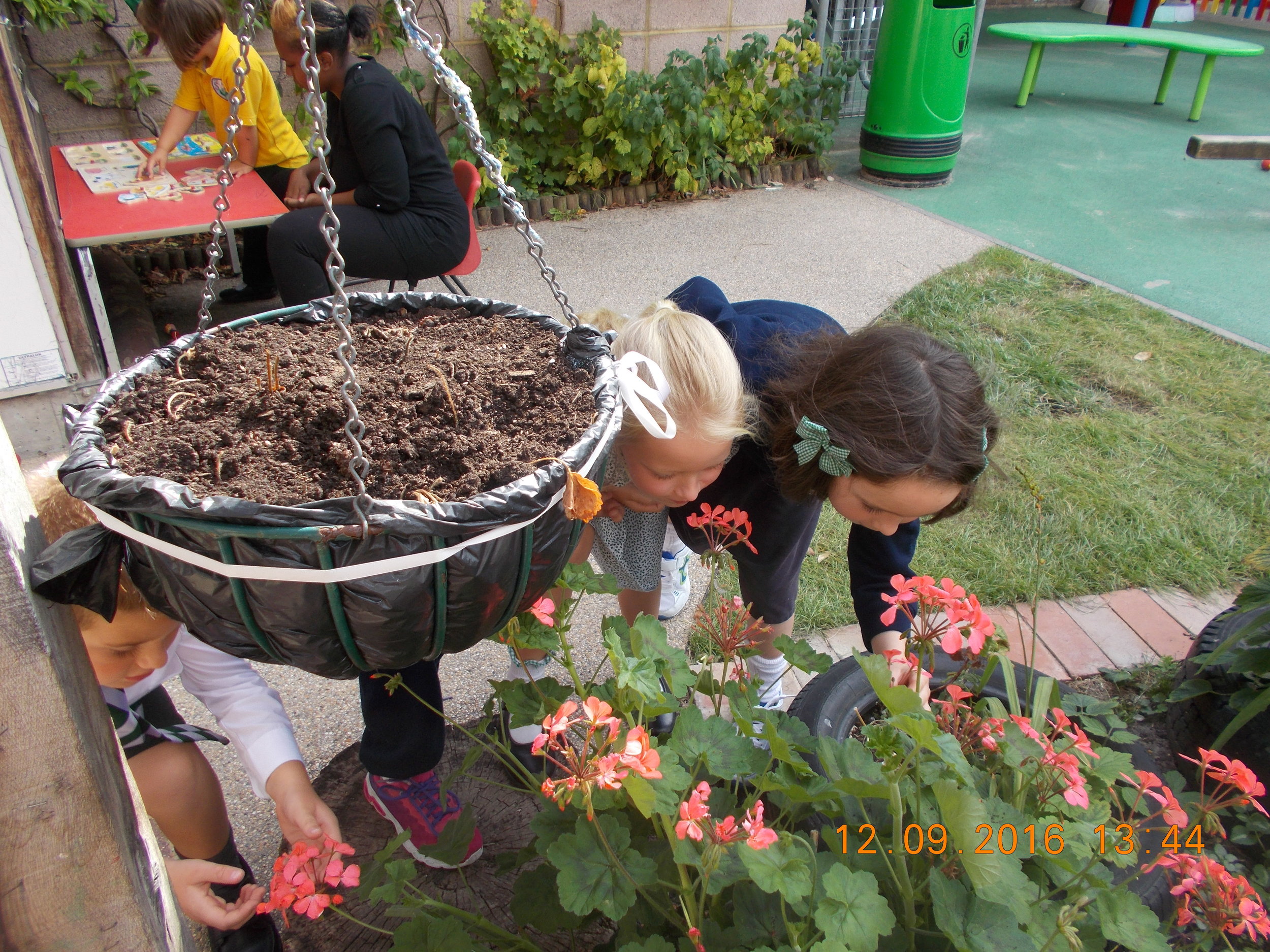 Wondering at God's Creation and budding scientists.