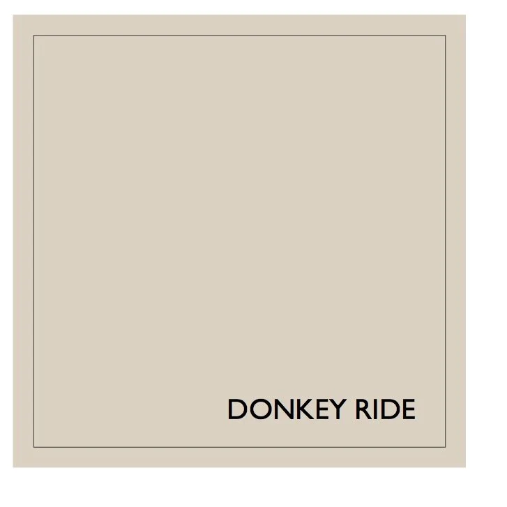 Donkey Ride 2.5 Litre  Earthborn Claypaint Tin
