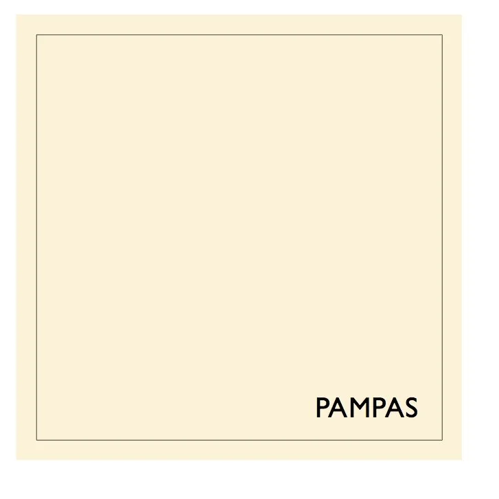 Earthborn EcoPro Silicate Masonry Paint PAMPAS