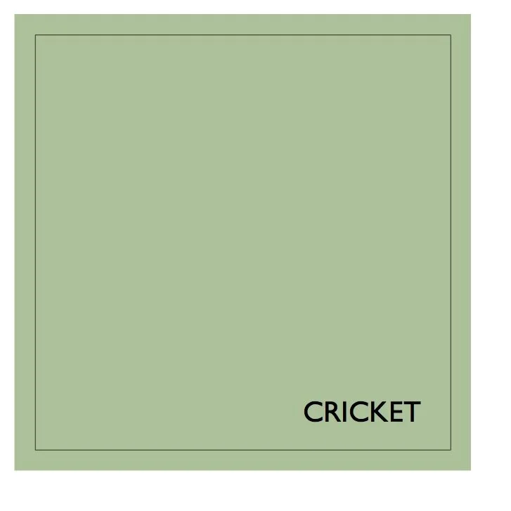 Cricket Eggshell No.17 750ml Earthborn