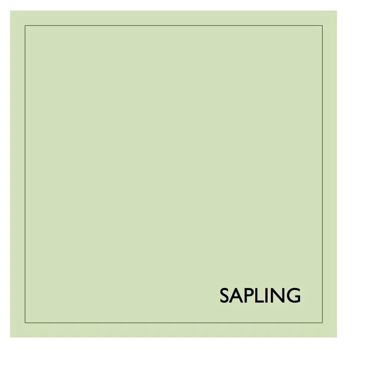 Sapling Eggshell No.17 750ml Earthborn