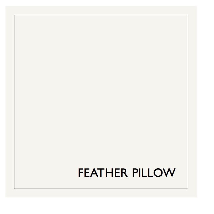 FEATHER+PILLOW+Earthborn+CLAYPAINT.jpg
