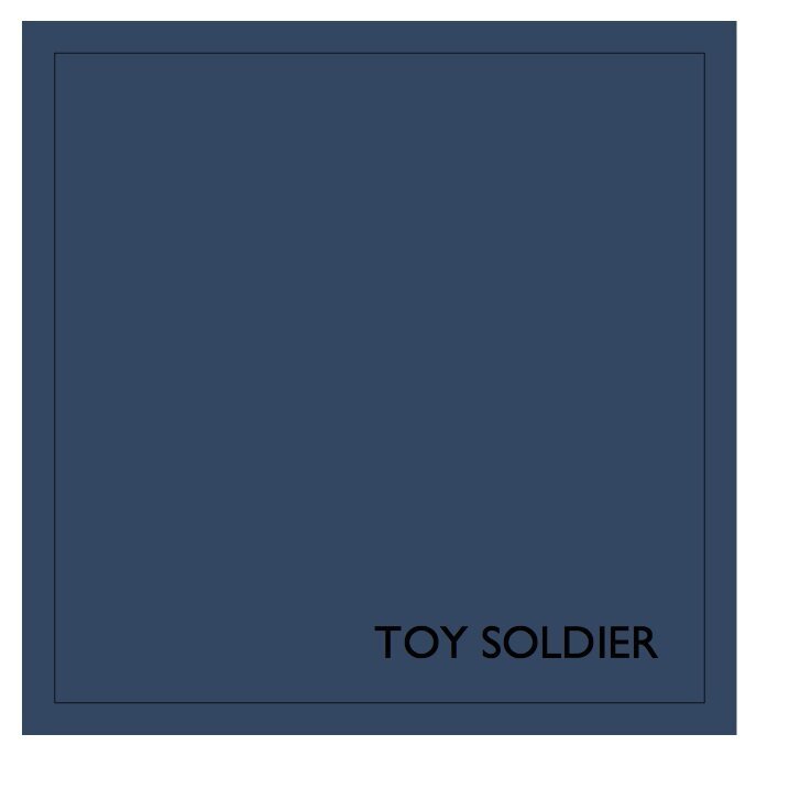 TOY+SOLDIER++.jpg