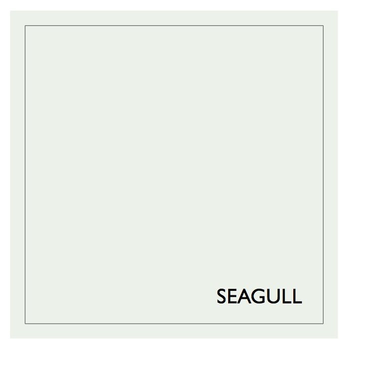 SEAGULL+Earthborn+CLAYPAINT.jpg