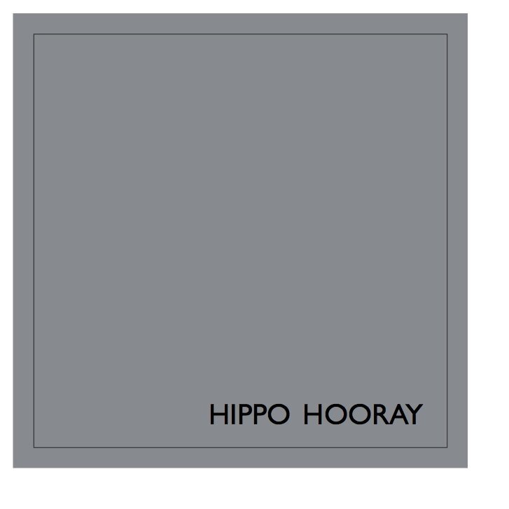 HIPPO+HOORAY+Earthborn+CLAYPAINT.jpg