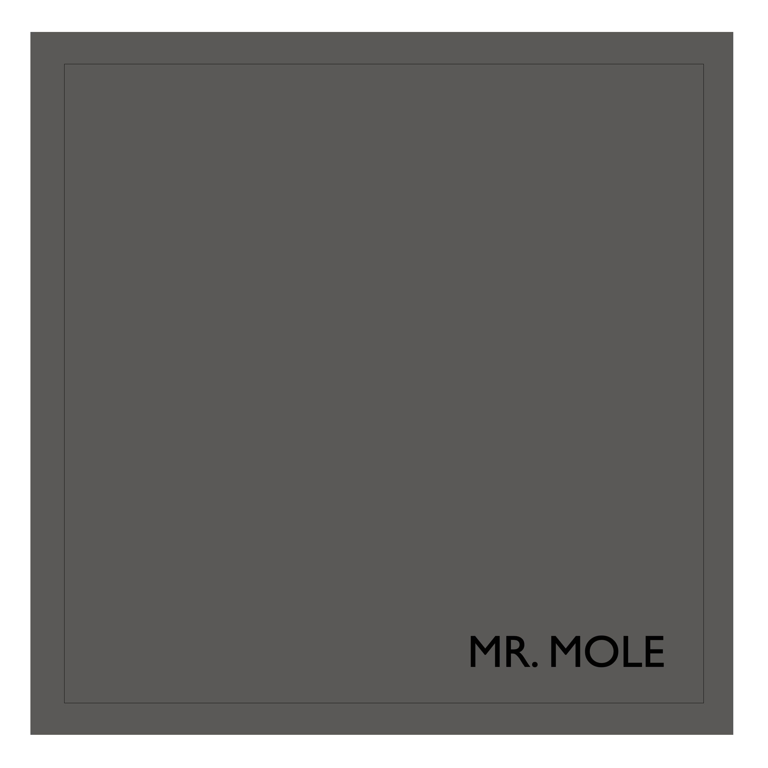 Mr Mole 5 Litre Large Earthborn Claypaint Tin