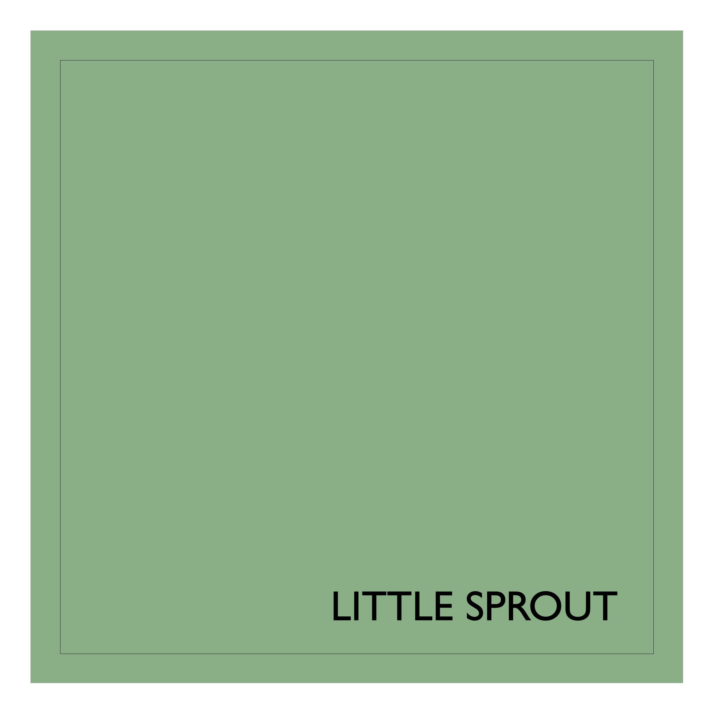 Little Sprout Eggshell No.17 2.5L Earthborn