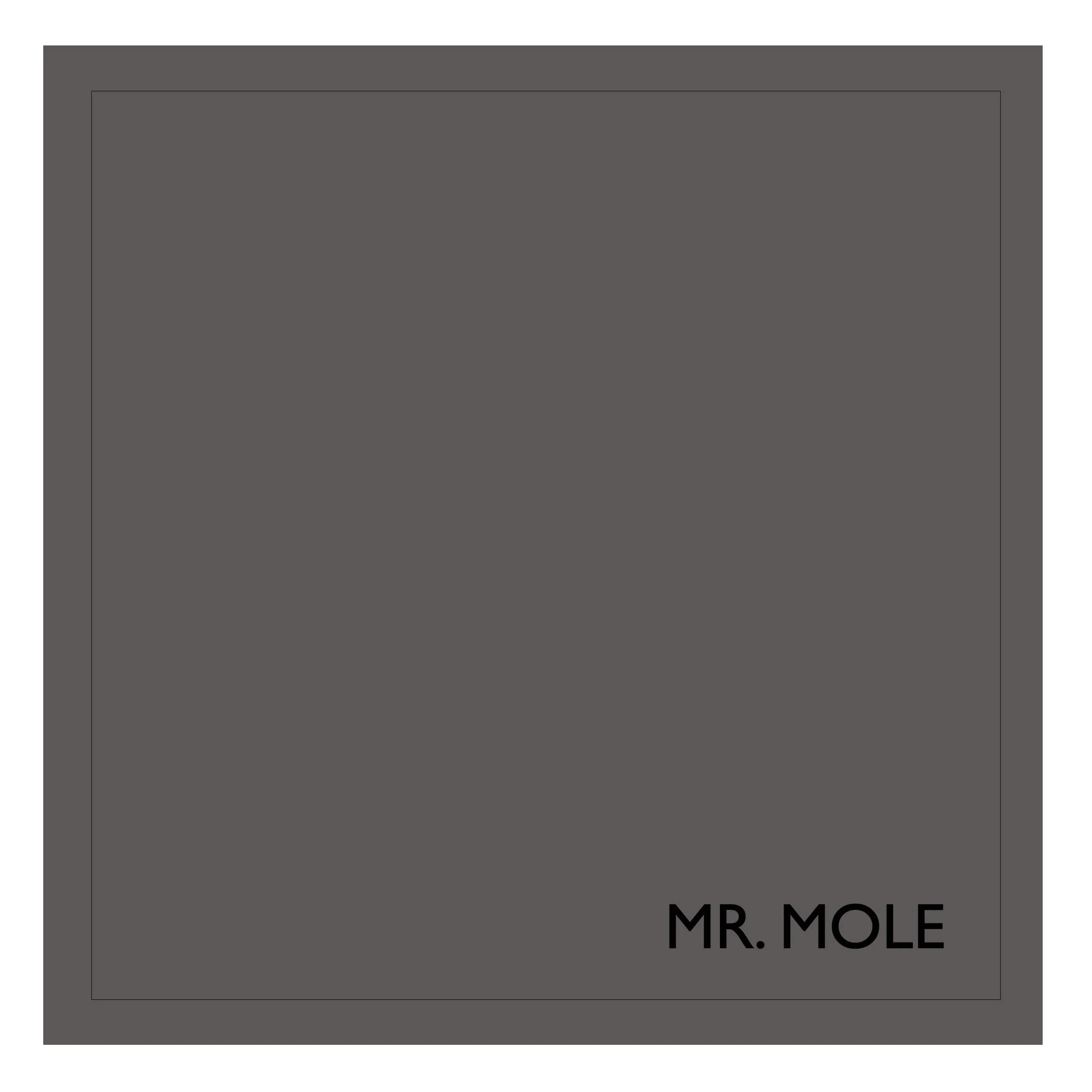 Mr Mole Eggshell No.17 2.5L Earthborn